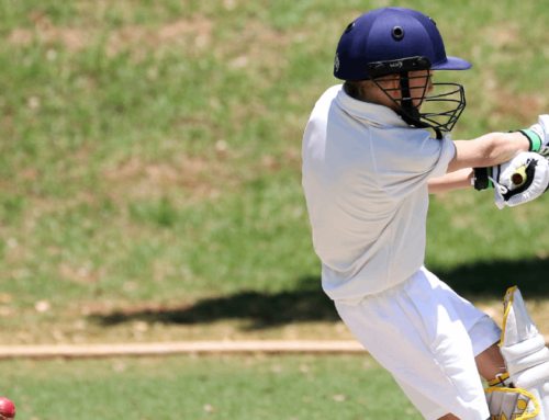 The Art of Spin Bowling: Exploring the Techniques and Strategies of Spinners